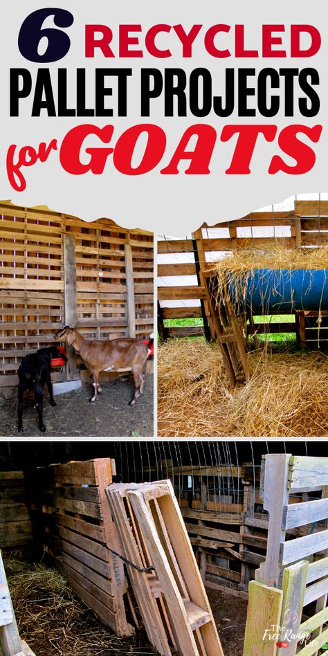 Simple Pallet Projects, Goat Yard, Easy Pallet Projects, Diy Pallet Decoration, Goat Playground, Goat Shelter, Goat House, Raising Farm Animals, Pallet Shed