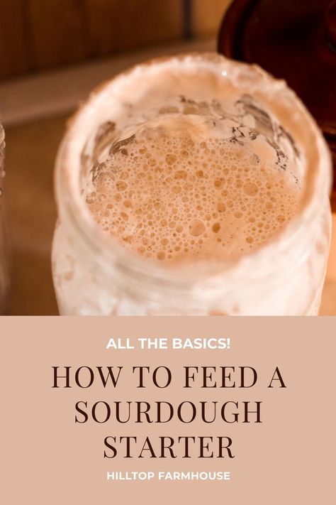 Dough Starter Recipe, Sourdough Starter From Scratch, Gluten Free Sourdough Starter, Yeast Starter, Sourdough Bread Starter, Dough Starter, Scratch Cooking, Gluten Free Sourdough, Bread Starter