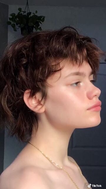 Enby Hair Mullet, Curly Shag Pixie, Shaggy Pixie Mullet Curly, Short Alt Mullet, Soft Short Mullet, Mullet Mohawk Women, Wavy Short Mullet, Gay Mullet Haircut, Shullet Hairstyles Short