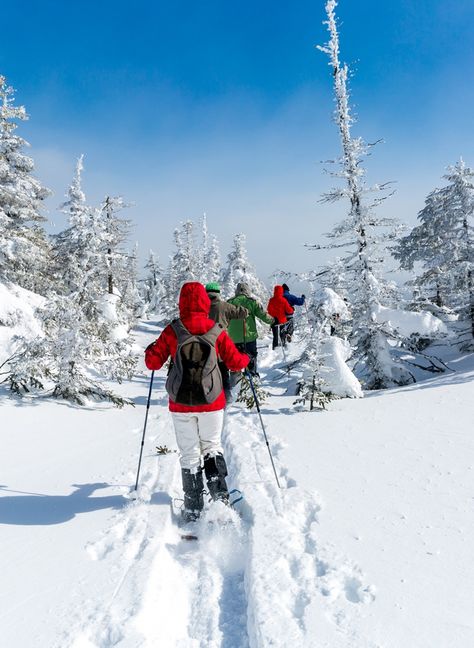 Snowshoeing - Snowshoe Trails Alta, Utah | Snowpine Lodge Snowshoeing Aesthetic, Notion Images, Alta Utah, Snow Shoeing, Alta Ski, Utah Skiing, Colorado Winter, Snowshoes, Snow Trip