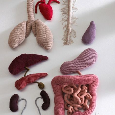 Body Box, Peach Lipstick, Internal Organs, The Time Has Come, Knit Art, Crochet Clothes For Women, Crochet Clothes Patterns, Amigurumi Pattern, Crochet Clothes