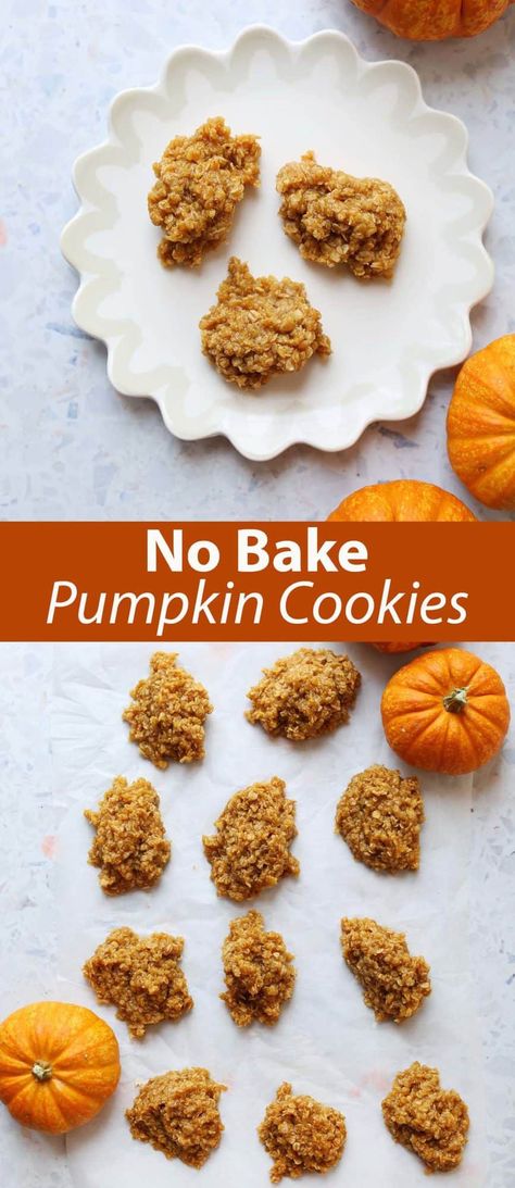 Pumpkin Oat Cookies, Pumpkin No Bake Cookies, Pumpkin No Bake, Oatmeal No Bake Cookies, Baked Pumpkin Oatmeal, Pumpkin Spice Recipes, Pumpkin Pie Oatmeal, Cajun Chicken Recipes, Easy To Make Cookies