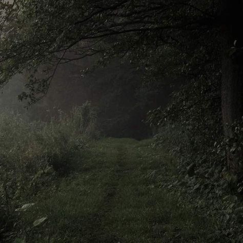 Witches Cottage, Into The Forest I Go, Dark Naturalism, Dark Forest Aesthetic, Rainy Day Aesthetic, Forest Aesthetic, Forest Core, Dark Landscape, Dark Green Aesthetic