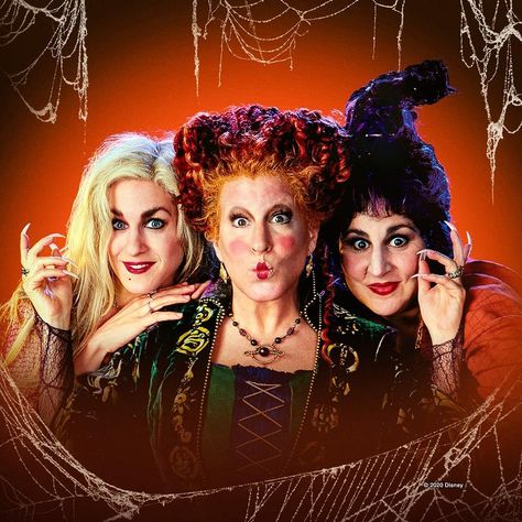 Hocus Pocus Pictures, Hocus Pocus Sublimation Designs, Hocus Pocus Images, Hocus Pocus Aesthetic, Hermanas Sanderson, Hocus Pocus 1993, Happy Halloween Gif, Hocus Pocus 2, Hocus Pocus Witches