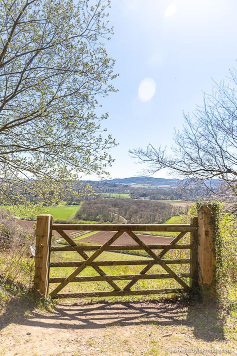 Gate on a Country Walk in Surrey Summer In England, Countryside Walks, Walks In Nature, 18th Century Landscape, Country Walks, Outdoor Walks, Train Trips, Summer Walks, Surrey England