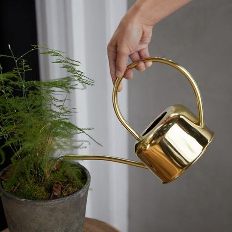 13 Watering Cans With Style - Pretty Watering Cans | HGTV Plastic Watering Can, Estate Interior, Metal Watering Can, Watering Cans, Dish Garden, Indoor Gardens, Houseplants Indoor, Healthy Garden, Modern Sculpture