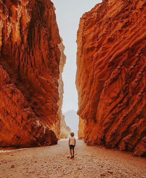 Paisajes Argentinos🇦🇷 on Instagram: “🌎EL ANFITEATRO en cercanías de Cafayate en la Provincia de Salta en el Norte Argentino🌎 . . . 📸Foto de @alexrobled . . . 🔥Compartinos tus…” Argentina Travel, Galapagos Islands, White Water Rafting, South America Travel, Day Hike, San Pedro, Photo Location, Mendoza, Travel Inspo