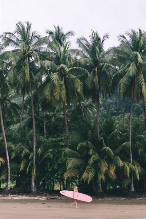 Pepä Ivanoff (pepallama) living her best beach/palm tree/pink surfboard life at home in Costa Rica 🇨🇷 📸 : Kristen / Samba to the Sea 50s Beach Aesthetic, Costa Rica Life, 50s Beach, Pink Surfboard, Surfboard Brands, Costa Ric, Living In Costa Rica, Costa Rica Beaches, Black And White Picture Wall