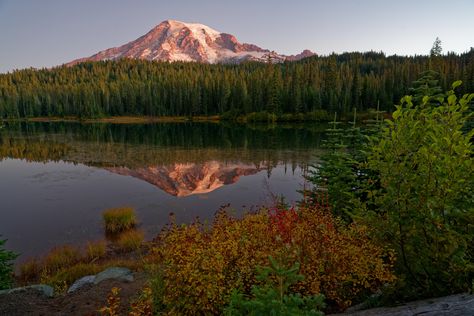 Discover the magic of dawn at Reflection Lake with Mt. Rainier mirrored in its calm waters. 🌄 Click to explore this serene escape! #Wanderlust #NatureLovers Mt Rainier National Park, Calm Waters, Nature Wallpapers, Mt Rainier, Rainier National Park, Before Sunrise, Calm Water, Nature Wallpaper, The Magic