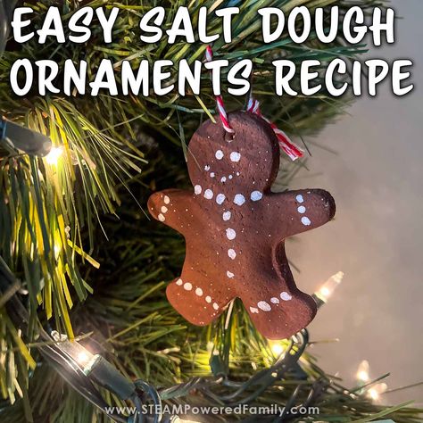 Christmas Stem Projects, Stem Ornaments, Easy Dyi, Stem Lessons, Christmas Stem, Stem Lesson, Winter Holiday Crafts, Salt Dough Ornaments, Dough Ornaments