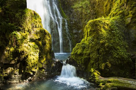 This gorgeous road weaves through some of Oregon's most amazing scenery, passing stunning waterfalls along the way. Weaving Landscapes, Portland Waterfalls, Oregon Hikes, Explore Oregon, Oregon Vacation, Beautiful Oregon, Oregon Waterfalls, Oregon Road Trip, Amazing Scenery