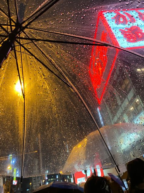 Transparent Umbrella Photography, Transparent Umbrella Aesthetic, Umbrella Aesthetic Rainy Days, Clear Umbrella Aesthetic, Rain Umbrella Aesthetic, Japan Umbrella, Aesthetic Umbrella, Umbrella Aesthetic, Rainy Day Umbrella