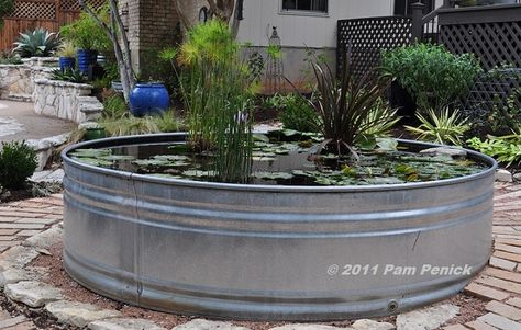 Container Pond, Container Water Gardens, Water Gardens Pond, Turtle Pond, Pond Landscaping, Backyard Water Feature, Natural Pond, Pond Plants, Water Pond