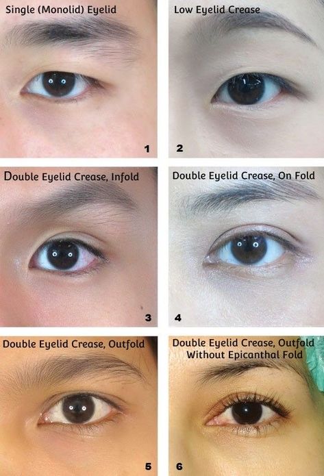 Asian Eye Types, Monolid Eyes Reference, Monolid Drawing Reference, Eyelashes For Asian Eyes, Eyes Different Shapes, Different Asian Eye Shapes, Asian Eyes Tutorial Drawing, Asian Facial Features Drawing, Different Eye Shapes Reference