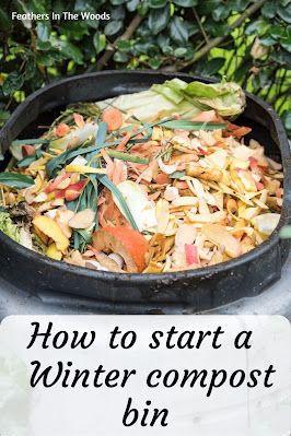 Winter Compost, Small Compost Bin, Ground Cherries, Making A Compost Bin, Food Growing, Squash Bugs, Composting Process, How To Make Compost, Gardening Zones