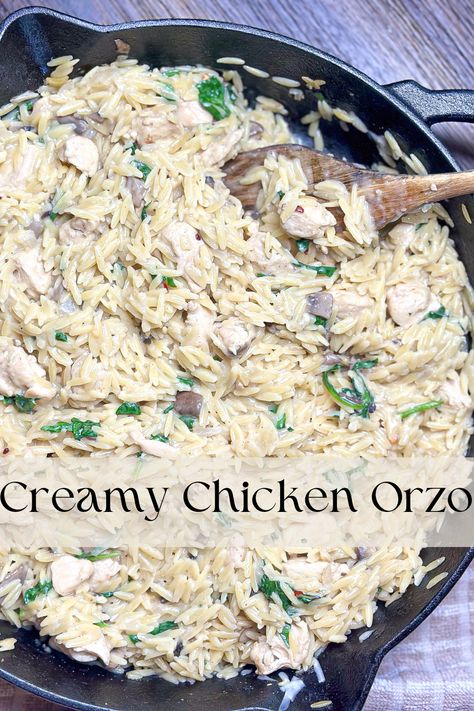 Creamy Chicken Orzo, Chicken And Orzo, Creamy Orzo, Mushrooms And Spinach, Creamy Mushroom Chicken, Creamy Parmesan Sauce, Orzo Soup, Orzo Recipes, Chicken Orzo