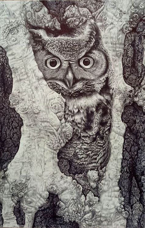 Traditional Pen and Ink Illustrators | Ballpoint pen. A3 | Facebook Pen Projects, Ballpoint Pen Art, Homeschool Crafts, Art Pens, Pointed Pen, Ballpoint Pen, Pebble Art, Bird Art, Pen And Ink