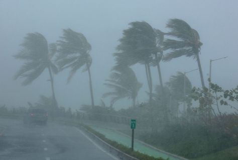 Beaufort Scale, Fly Repellant, Satellite Image, Tropical Storm, Life Is Strange, Caribbean Islands, Extreme Weather, Natural Disasters, Ny Times