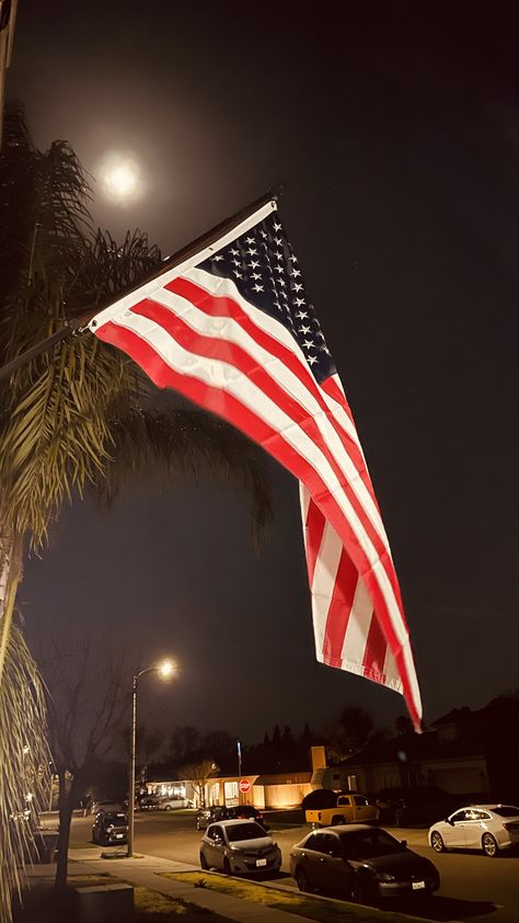 Usa Flag Aesthetic, 3 Siblings, Communist Propaganda, Us Flags, American Flags, America Flag, American Life, Martial Artist, American Pride