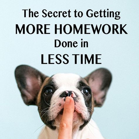 Are you really, really good at running out of time for everything? Check out my latest blog post for the secret to getting things DONE…and faster, too!! Check out the link to read! 🤓 The Secret to Getting More Homework Done in Less Time https://www.nadyacorscadden.com/blog/2021/10/4/how-to-get-more-homework-done Running Out Of Time, Out Of Time, Do Homework, Study Tips, Getting Things Done, Homework, You Really, Boston Terrier, French Bulldog