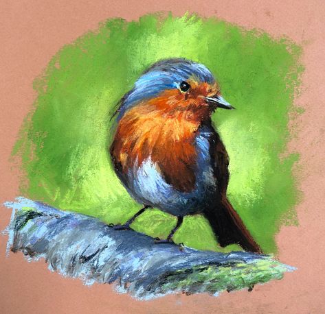 Pastel Drawing of a Robin – Timed Drawing Exercise Pastel Birds Drawing, Animal Drawings Oil Pastel, Birds Oil Pastel, Bird Pastel Drawing, Soft Pastel Animal Drawing, Soft Pastel Animals, Oil Pastel Bird, Pastel Pencil Drawing, Pastel Animals