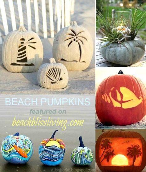 Beach Theme Pumpkins, Beachy Pumpkins, Beach Pumpkins, Coastal Pumpkins, Coastal Halloween, Pumpkins Decorated, Halloween Beach, Coastal Holiday, Coastal Theme