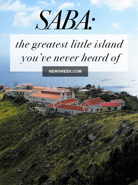 Saba: The greatest little island you've never heard of Species Of Sharks, St Maarten, Us Travel Destinations, Underwater Life, Caribbean Travel, The Far Side, St Martin, Travel Stuff, Dream Vacation