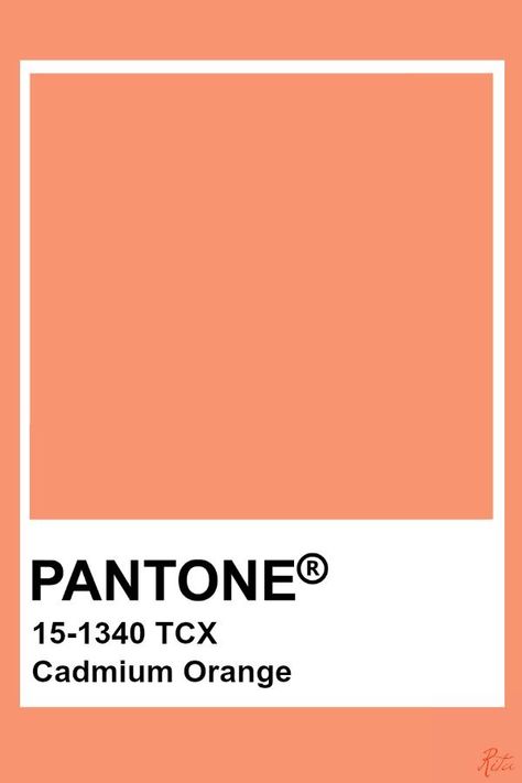 Orange Color Swatch, Orange Swatch, Tcx Pantone, Pantone Shades, Peach Caramel, Orange Pantone, Pantone Orange, Pantone Tcx, Color Of The Year 2022