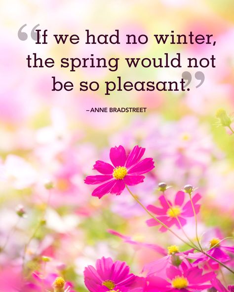 Spring Quotes - 22 Sayings About Spring Flowers For Cricut, Spring Quotes Flowers, Quotes About Spring, Springtime Quotes, Happy Spring Day, Beautiful Flower Quotes, Season Quotes, Spring Quotes, Spring Images