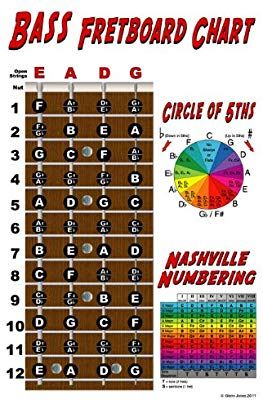 Amazon.com: Triple-G Posters 4 String Bass Instructional Poster with Nashville Numbering System: Musical Instruments Bass Arpeggios, Bass Guitar Notes Chart, Bass Fretboard, Circle Of 5ths, Fretboard Notes, Bass Guitar Notes, Bass Guitar Scales, Learn Bass Guitar, Bass Guitar Chords