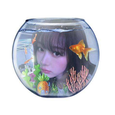 Fishbowl Pfp, Pet Goldfish, Kpop Entertainment, Y2k Aesthetic, Cartoon Pics, Goldfish, Kpop Memes, Pretty People, Girl Group