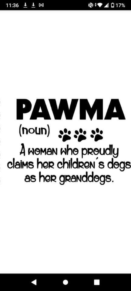 Our Family Is Growing By 4 Paws, Grand Dog Quotes, Granddogs Quotes, Vinyl Dog Projects, Funny Dog Mom Quotes, Cute Dog Sayings, Fur Baby Quotes, Funny Dog Sayings, Funny Dog Signs