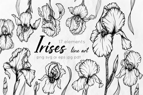 Irises Line Art Vector Collection by Dervik Art Store on @creativemarket Iris Flower Outline, Iris Svg, Irises Flowers, Outline Flowers, Trendy Graphics, Wrap Tattoo, Line Art Flowers, Iris Art, Flower Drawing Tutorials