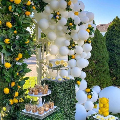 Birthday Goals, Candy Cart, Lemonade Stand, Everything Is Fine, 13th Birthday, Party Planner, Party Decor, Lemonade, Party Decorations