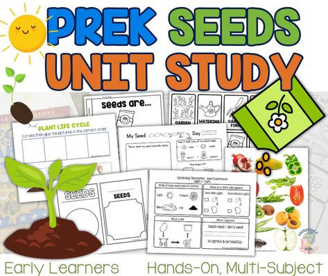 Preschool Planting Seeds Activities: What is a Seed and How Does it Grow? - Seeds Activities, Plant Life Cycle Worksheet, Emergent Literacy, Study Printables, The Tiny Seed, Finger Plays, Plant Life Cycle, Spring Preschool, Jack And The Beanstalk