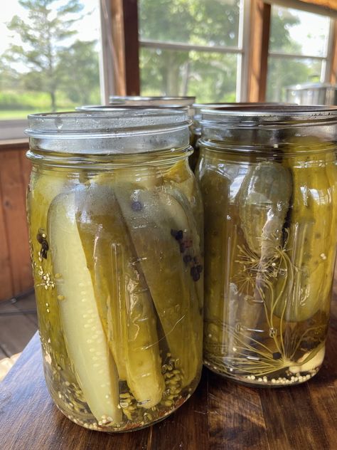 Zesty Spiced Dill Pickles Homemade Dill Pickles, Crunchy Pickles, Homemade Pickles Dill, Dilly Beans, Dill Pickle Recipe, Canning Pickles, Pickling Salt, Canning Vegetables, Dill Pickles