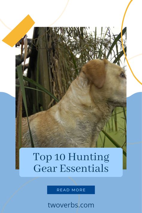 Prepare for your next hunting trip with the vital gear every outdoor enthusiast needs. From quality hunting rifles to reliable ammo and sturdy boots, these 10 indispensable items enhance your success and enjoyment in the field. Don't forget the essential hunting dog; they ensure a productive hunt and companionship outdoors. Equip yourself with knowledge about ideal backpack systems and weather-appropriate clothing to stay comfortable. Thoroughly check this list to make sure you're ready for your adventure! Scout Games, Hunting Essentials, Camouflage Outfits, Hunting Dog, Hunting Trip, Hunting Boots, Outdoor Enthusiast, Hunting Gear, Hunting Dogs