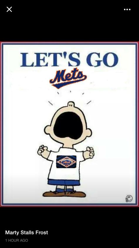 Let's Go METS Ny Mets Baseball, Lets Go Mets, Baseball Helmet, Mets Baseball, Baseball Art, Ny Mets, National League, Lets Go, Baseball Team