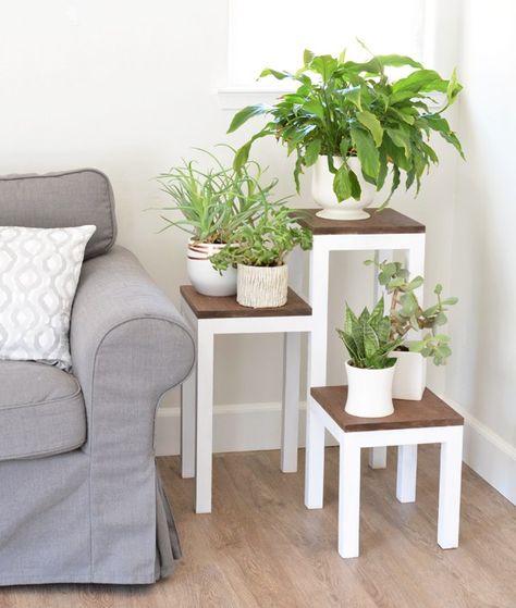 Diy Tiered Plant Stand, Indoor Corner Plant Stand, Corner Plant Stand, Tiered Plant Stand, Bahay Kubo, Corner Plant, Modern Plant Stand, Wooden Plant Stands, Home Design Diy