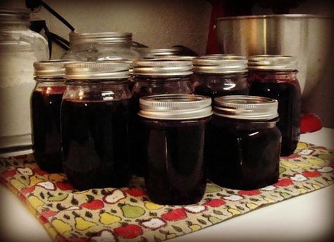 How To Make Dewberry Jelly, Dew Berry Recipes, Dewberry Jelly Recipe, Dewberry Jam Recipe, Vegan Homestead, Dewberry Recipes, Ranch Recipes, Picking Berries, Food Preserving