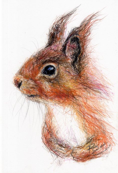 Maus Illustration, Squirrel Illustration, Squirrel Art, Red Squirrel, Color Pencil Art, Color Pencil Drawing, Pastel Drawing, Painting Art Projects, Personal Project