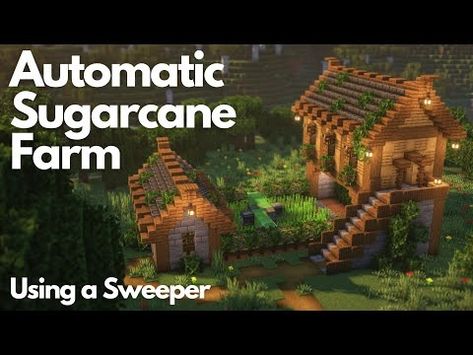 AUTOMATIC SUGARCANE FARM | Minecraft Tutorial | Java [1.21+] - YouTube Sugarcane Farm Minecraft, Sugar Cane Farm Minecraft, Minecraft Automatic Farm, Sugarcane Farm, Sugar Cane Farm, Farm Minecraft, Minecraft Farm, Minecraft Tutorial, Minecraft Buildings