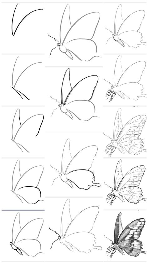 Butterfly Sketch Tutorial, How To Draw Buterfluffy, How Do You Draw A Butterfly, Drawing Begginers Simple, Beginner Pencil Sketches, How To Draw Butterflies Step By Step, Butterfly Drawing Reference, Easy Drawings Step By Step Sketches, How To Draw A Butterfly Step By Step