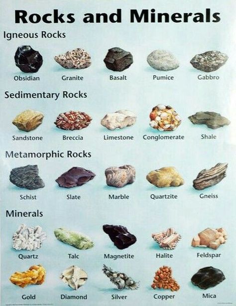 Mineral Chart, Tanaman Air, Rock Identification, Rock Hunting, Rock Types, Geology Rocks, Sedimentary Rocks, Metamorphic Rocks, Rock Minerals