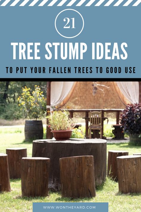 For those who live in wooded areas with fallen or cut trees, transforming tree trunks into something decorative and eye-catching is a wonderful way to repurpose unused wood. Adorning tree stumps with dainty items or reshaping the wood into a spectacular image can add a rustic look to your yard and increase the cuteness, and uniqueness of your outdoor space.👉 Follow This Blog to Getting More Ideas And Reviews. #BackyardIdeas #Backyard #BackyardDesign Uses For Tree Trunks, Oak Tree Stump Ideas, Repurpose Tree Trunk, Oak Stump Ideas, Ideas For Tree Trunks, Log Benches Outdoor Tree Stumps, Cut Tree Stump Ideas, Cut Down Tree Ideas, Wood Log Ideas Diy Projects Tree Trunks