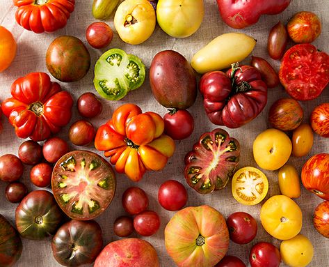 Mark Hyman salt, sugar POD Green Zebra Tomato, Heirloom Tomatoes Varieties, Big Tomato, Colors Photography, Slow Roasted Tomatoes, Tomato Jam, Cooking Tomatoes, Tomato Season, Summer Tomato