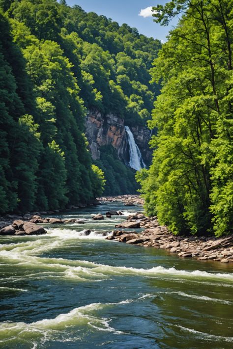 Fun on the River: Exploring the Chattahoochee’s Outdoor Activities River Activities, Chattahoochee River, Activities For All Ages, Water Day, Whitewater Rafting, Georgia Usa, Beautiful Places On Earth, Outdoor Lover, Water Views