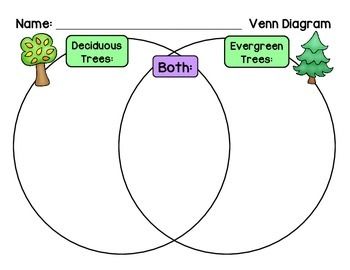 Deciduous or Evergreen - Compare and Contrast Venn Diagram Deciduous And Evergreen Trees Ks1, December Kindergarten Activities, Temperate Deciduous Forest, Tree Unit, Van Down By The River, December Kindergarten, Enchanted Woodland, Compare Contrast, Career Center