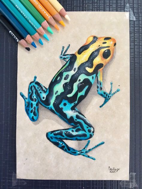 Colored Pencil Art Projects, Copic Drawings, Prismacolor Art, Color Drawing Art, Colored Pencil Artwork, Art Watch, World Of Art, Frog Art, Crayon Art