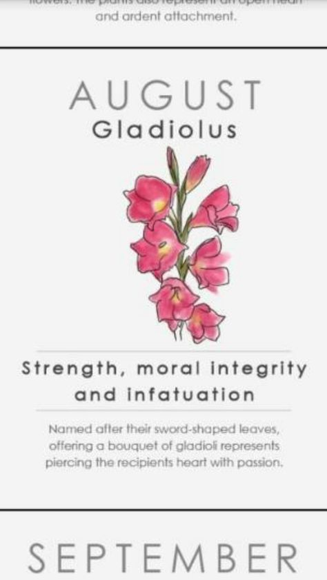 Wrist tattoo Gladiolus Wedding Bouquet, Gladiolus Wedding, August Flower Tattoo, Gladiolus Flower Tattoos, Flower Gladiolus, August Gladiolus, Gladiolus Tattoo, August Birth Flower, Gladiolus Flower